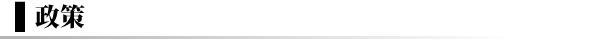 政策