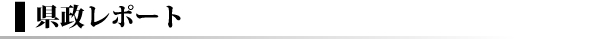 県政レポート	